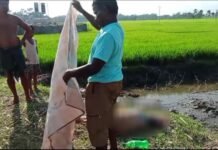 অজ্ঞাত পরিচয় বৃদ্ধা উদ্ধার।